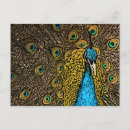 Search for digital illustration postcards Colourful