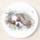 Search for dog show barware Animal