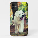 Search for mammals electronics Dog