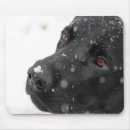 Search for black lab mouse mats Dog