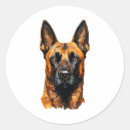 Search for funny malinois stickers Puppy