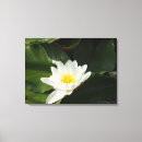 Search for purity art Lotus