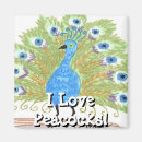Search for allen magnets Bird
