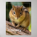 Search for intensity posters Wild