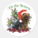 Search for yorkie stickers Dog