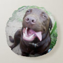 Search for chocolate labrador cushions Pet