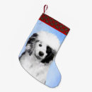 Search for portuguese water dog christmas Puppy