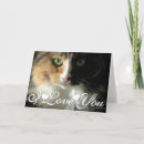 Search for eye photo cards Cat