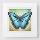 Search for blue morpho butterfly posters White