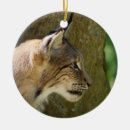 Search for black forest christmas tree decorations Woods