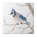Search for county tiles Blue