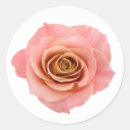 Search for pretty flowers stickers Peach