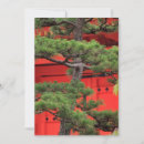 Search for bonsai cards Buddhism