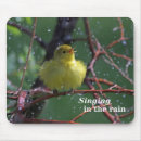 Search for warbler electronics Birding