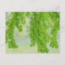 Search for limb postcards Tree