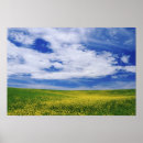 Search for canola posters Palouse
