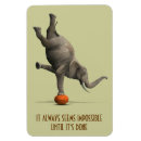 Search for gymnastics magnets Funny