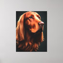 Search for irish red setter Canine