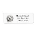 Search for golden doodle return address labels Dog