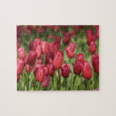 Search for netherlands puzzles Red