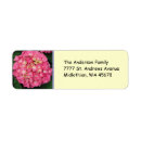 Search for pink hydrangea return address labels Flowers