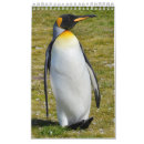 Search for penguin calendars Gentoo