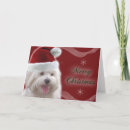 Search for animal lovers card christmas cards Snowflakes