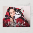 Search for new puppy announcement postcards Dogs