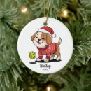 Search for funny pickle christmas tree decorations Pickleball