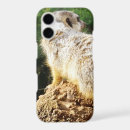 Search for meerkat gifts Animal