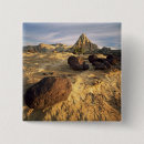 Search for reef badges Usa