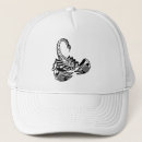 Search for arthropod accessories Scorpion