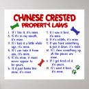 Search for chinese posters Dog