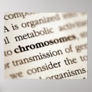Search for chromosomes posters Biology