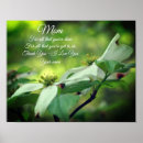 Search for dogwoods posters Nature