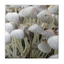 Search for mushroom tiles Plant