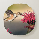 Search for hummingbird cushions Red