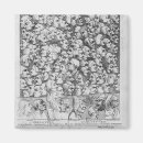 Search for caricatures magnets William