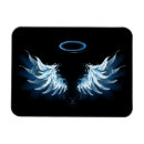 Search for blue wing magnets White