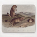 Search for audubon mouse mats James