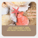 Search for beach starfish stickers Shells