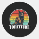 Search for tortoiseshell cat stickers Kitten