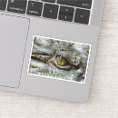 Search for reptile eye stickers Reptiles