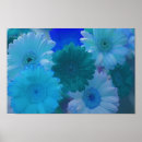 Search for gerberas art Daisies