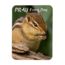 Search for pray magnets Cute