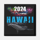 Search for happy new year magnets Fireworks