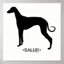 Search for saluki posters Pet