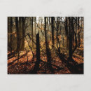 Search for winter trees postcards Sunrise