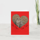 Search for walking cards Dog