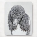 Search for standard poodle mouse mats Black